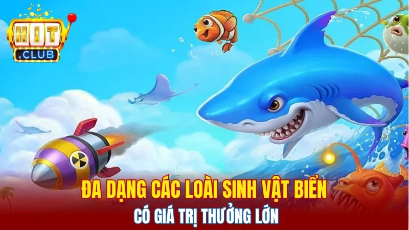 Đa dạng các loài sinh vật biển có giá trị thưởng lớn