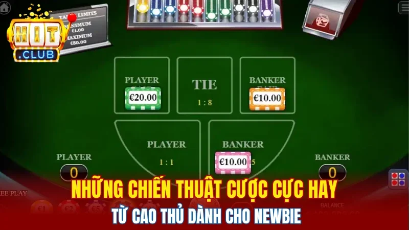 Những chiến thuật cược cực hay từ cao thủ dành cho newbie